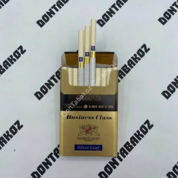 Сигареты Business Class Silver Leaf Nano Микс