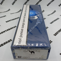 Сигареты Кэмел (Camel) Blu Duty Free Германия Микс